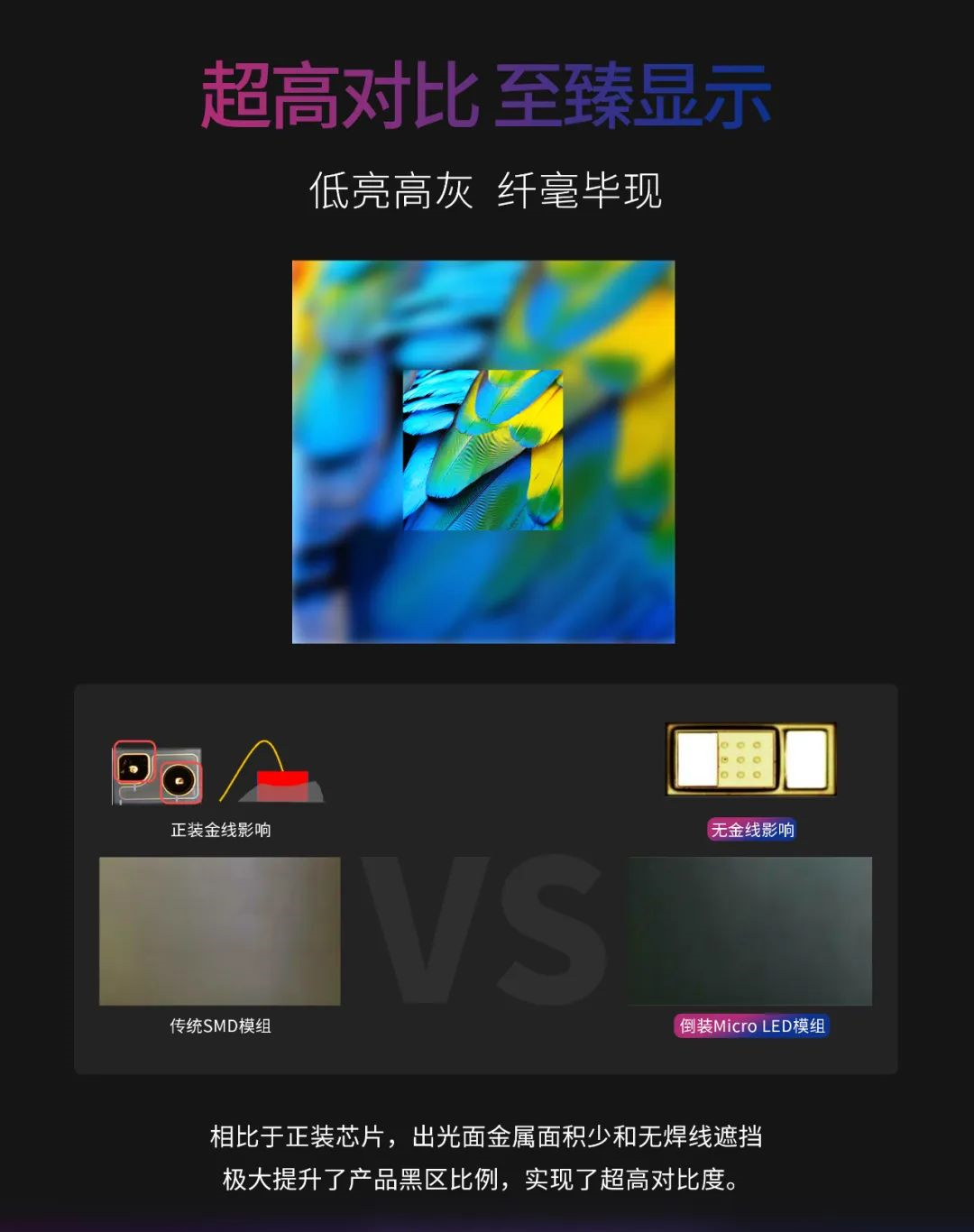 一期一会 | 一图读懂FUN88·乐天(中国游)·利晶MIP新品系列